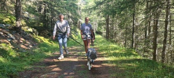 Family Husky Trekking