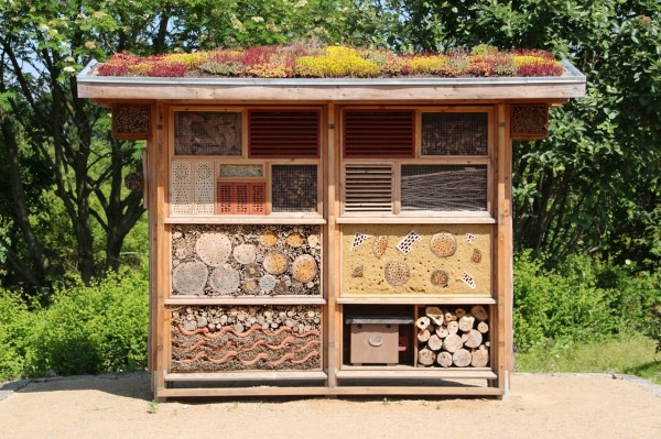 Maintenance Day Insect Hotel