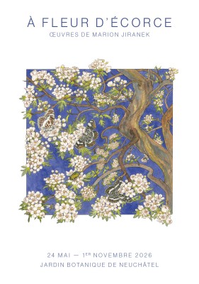 À fleur d’écorce