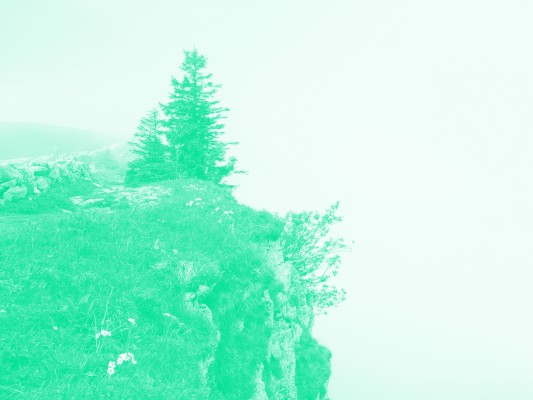 Insân