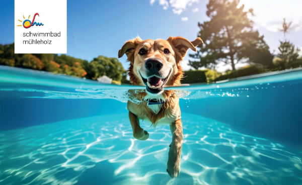 2nd Dog Swimming at Mühleholz Swimming Pool Vaduz