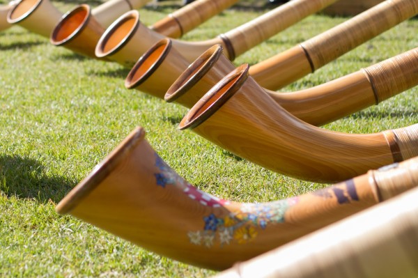 Advanced Training Course for the Alps Horn