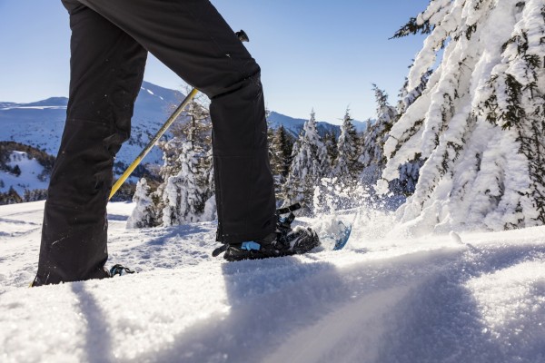 Thomi's Schneeschoutouren - zur Alp Piänetsch