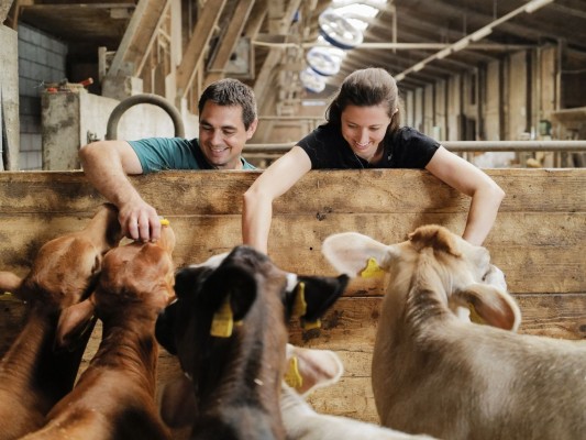 Open Stable Doors Day Vaduz