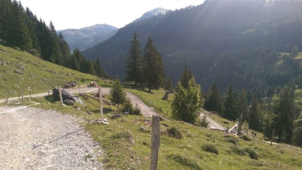 14ª Carrera Stierenberg Schwarzsee