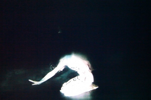 Film Screening: «Night for Day» by Emily Wardill