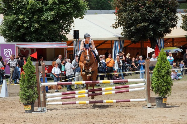 Equestrian Competition