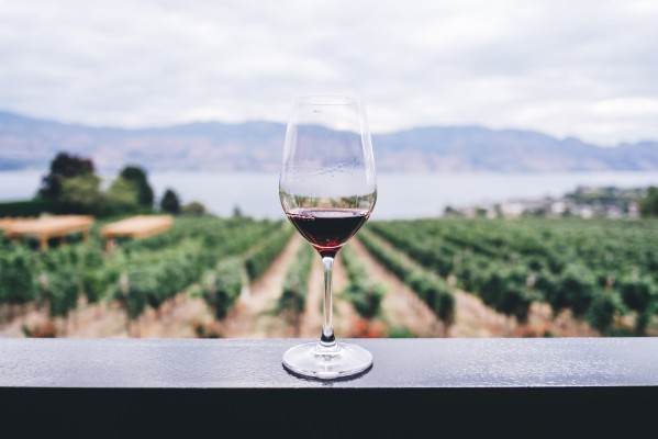 Basics of Sommelier Skills, Wine and Winemaking in the Czech Republic