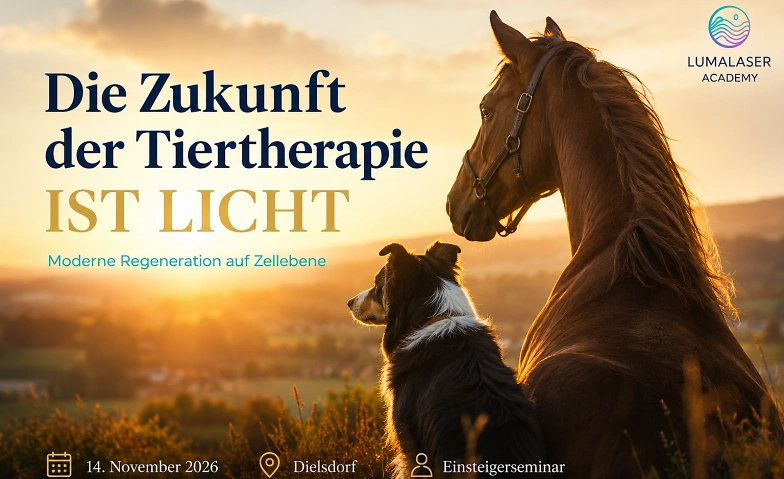 Die Zukunft der Tiertherapie ist Licht Einsteigerseminar