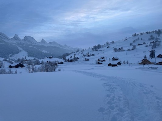 Evening Snowshoe Hike