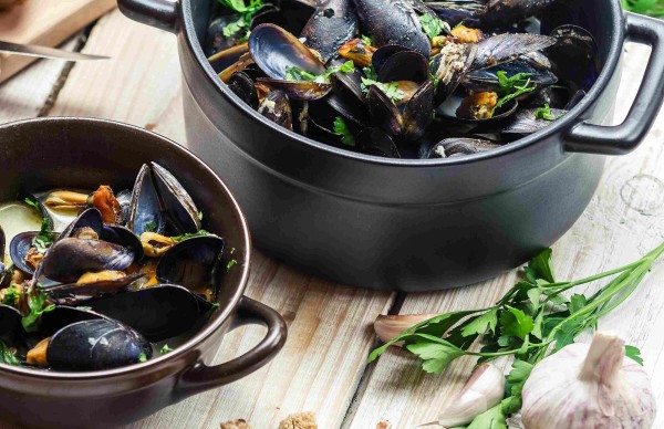 Moules-Schiff Bielersee