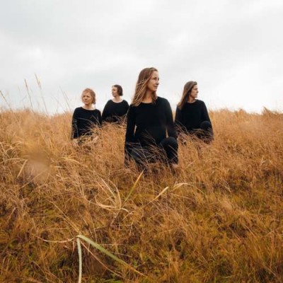 Driftwood — Nordic Affect