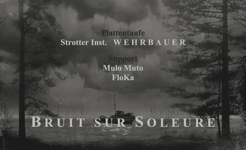 Bruit sur Soleure
