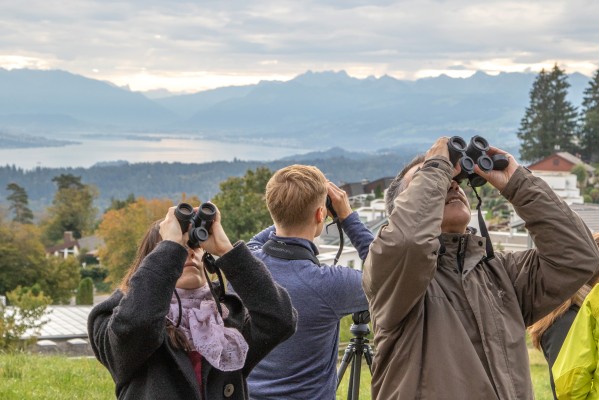 NVL Eurobirdwatch - Watershed Gurnigel
