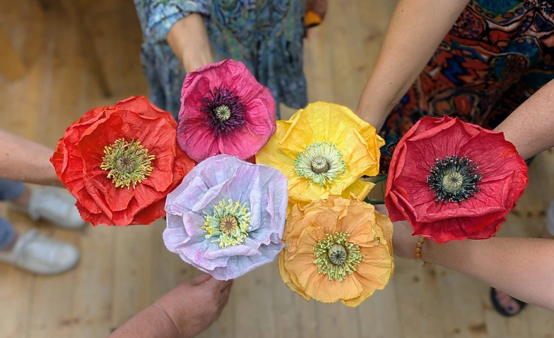Rahmenprogramm "ALLES ECHT!": Mohnblumen-Workshop