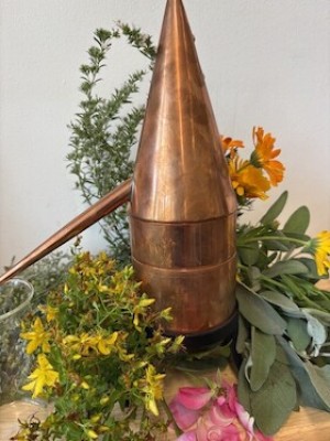 Taller de destilación: Aqua mirabilis