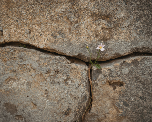When Farewell Changes Life - Space for Grief
