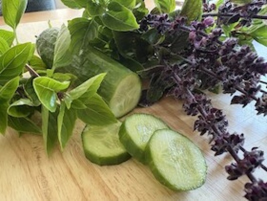 Taller de destilación: Pepino y Albahaca