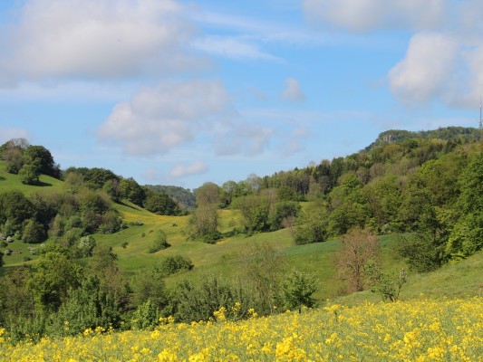 Landschaft lesen und erleben - Geschichte, Wandel, Bedeutung
