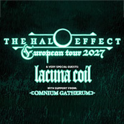 The Halo Effect