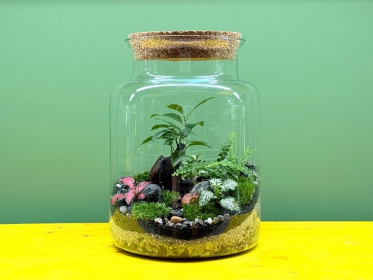 NATURENA: Mikro-Garten im Glas