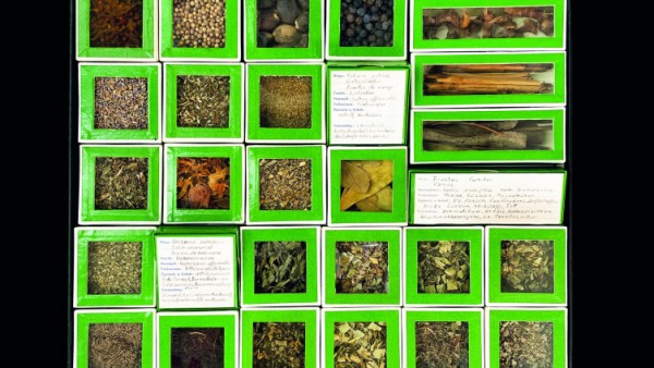 Es tökterlet e bitzli - The collection of drugs by Paul Schaad