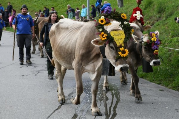 Prättigauer Alp Spektakel