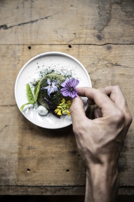 Herbal Walk Followed by a Tasting/Cocktail Reception at Café ÜJA