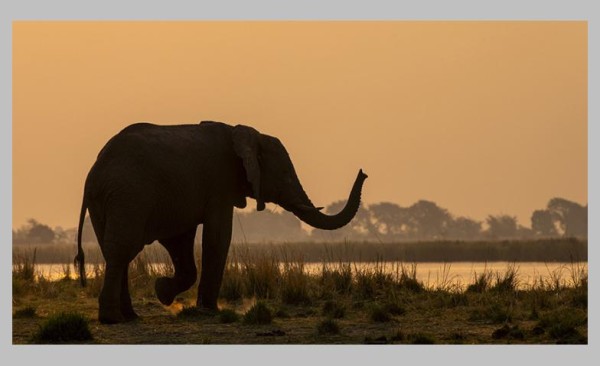 Live-Vortrag: Botswana und Namibia