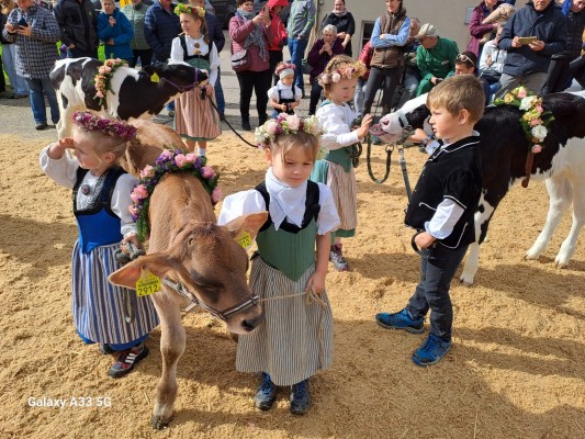 Cattle Show, Cow Parade & Vintage Tractor Parade