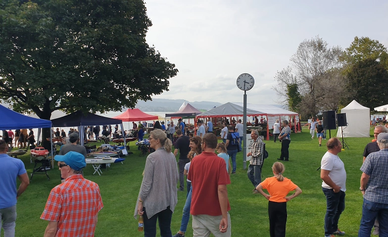 13e Rencontre de bateaux à moteur / Modèle réduit de bateau à ramer Stäfa 2026