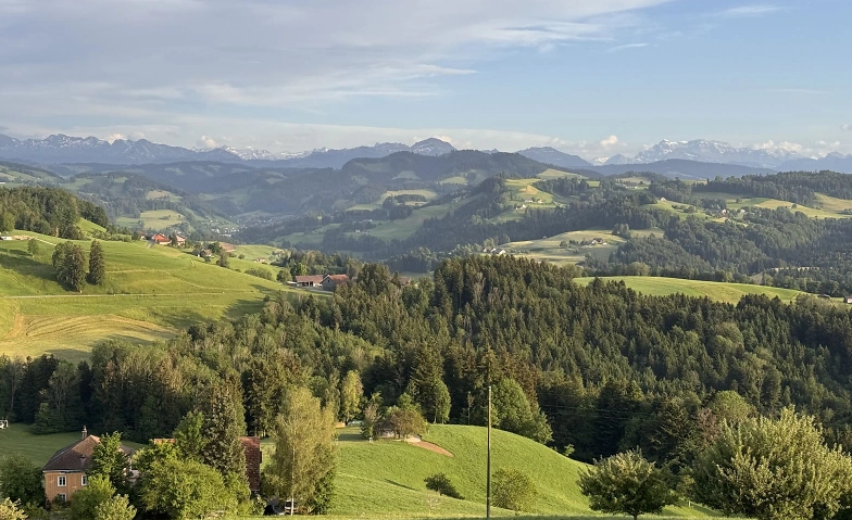 Retiro de día con Breathwork y experiencia en la naturaleza en Toggenburg