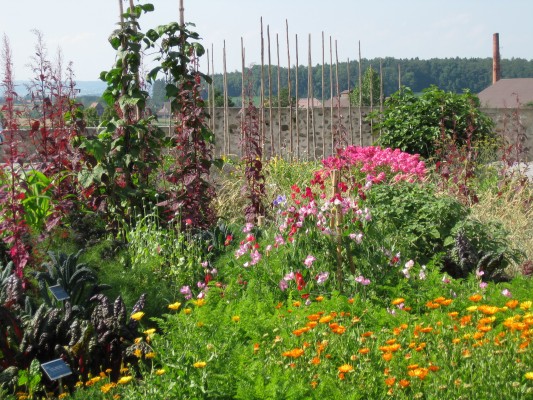 Gardening, Research, Writing: Monastery and Plants in the 16th Century