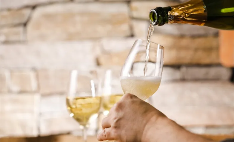 ¡Todo lo que burbujea: De la fermentación al estallido!