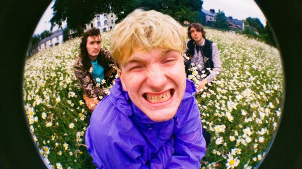 The Love Buzz