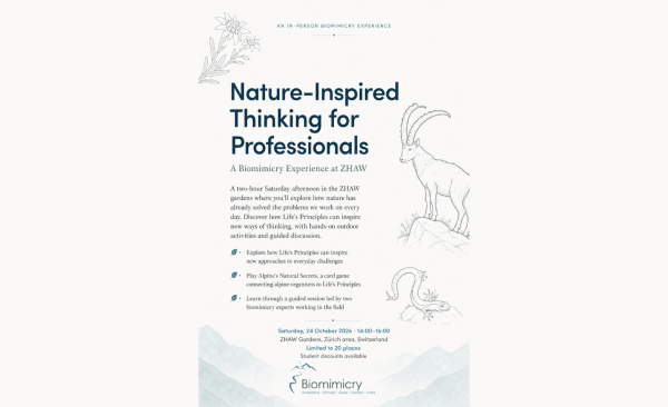 Una experiencia de Biomimicry en ZHAW - Pensamiento inspirado en la naturaleza