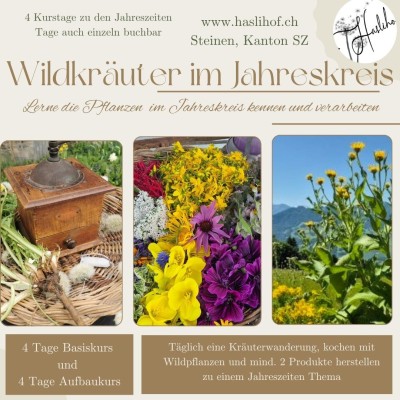 Wild Herbs in the Calendar Year 2027