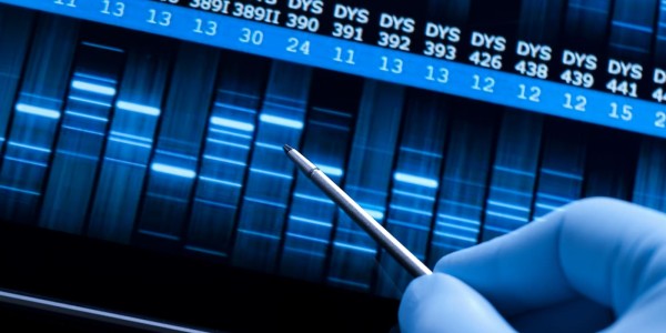 Epigenetics — When the Environment Controls Genes