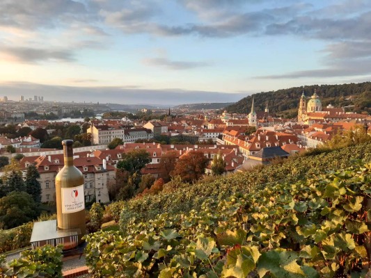Vinobraní Villa Richter