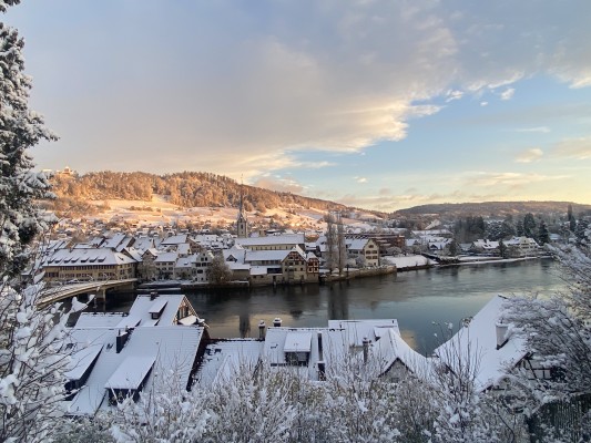 Winter Medieval Life - What a Life!