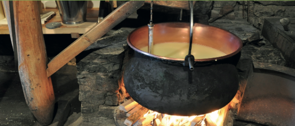 Cheese Making Like in Old Times