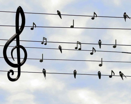 Grupo de canto