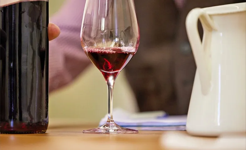 PIWIs – Saft mit Kraft: Robuste Rebsorten