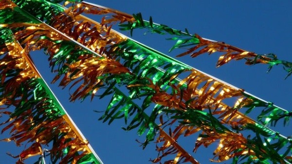 Park Entry And Train Tickets