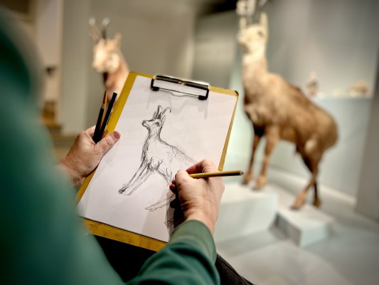 Open drawing in the Nature Museum