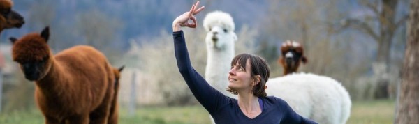 Yoga en medio de Alpacas-Zunzgen, BL
