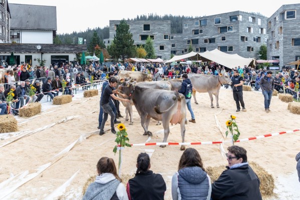 MISS ARENA ALVA & HERBSTMARKT 2026