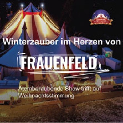 Frauenfelder Christmas Circus - Family Day