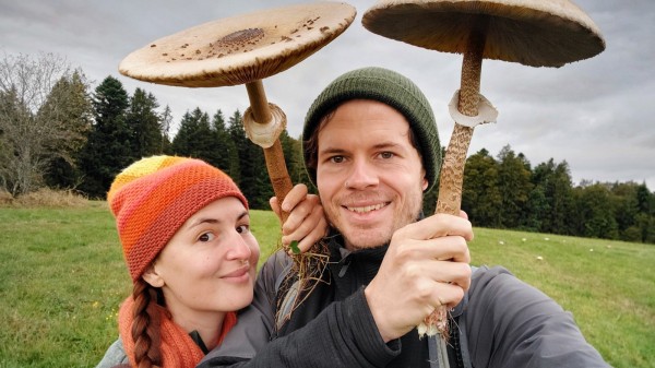 Mushrooms & Herbs