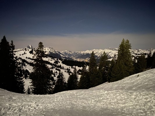 Sledding Descent by Moonlight at Saanersloch